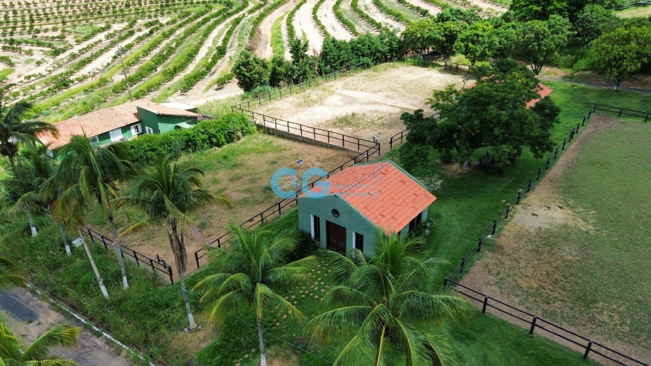 Fazenda - Foto 3