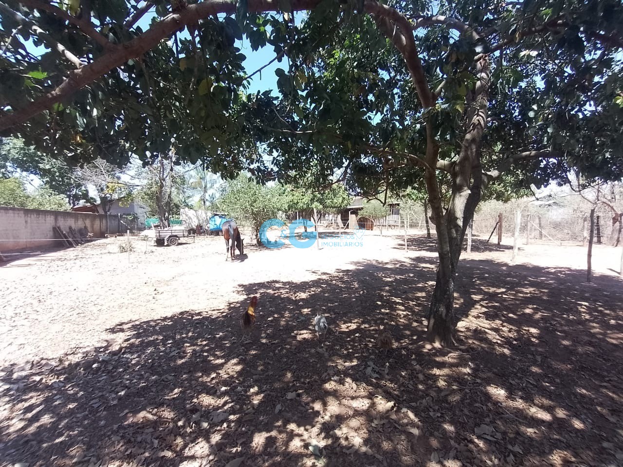 Chácara, 2 quartos - Foto 29