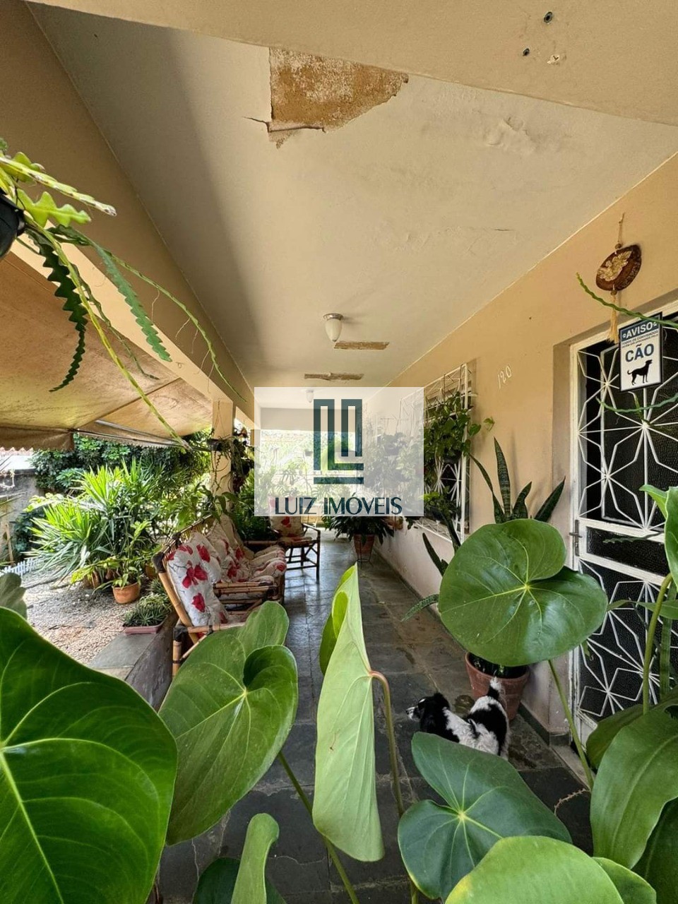 Casa, 2 quartos, 500 m² - Foto 17