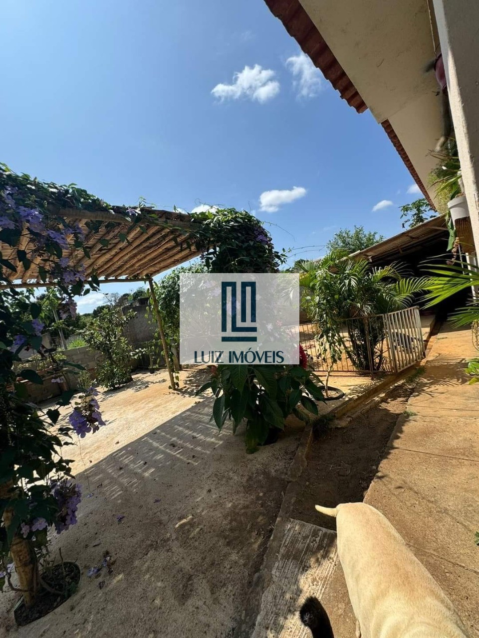 Casa, 2 quartos, 500 m² - Foto 10