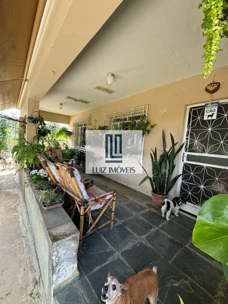Casa, 2 quartos, 500 m² - Foto 18