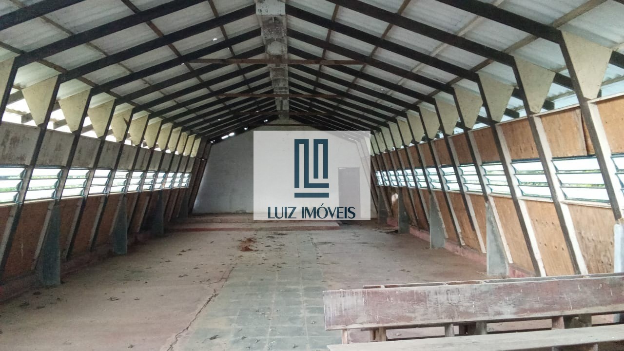 Sítio, 40 quartos, 333800 m² - Foto 11