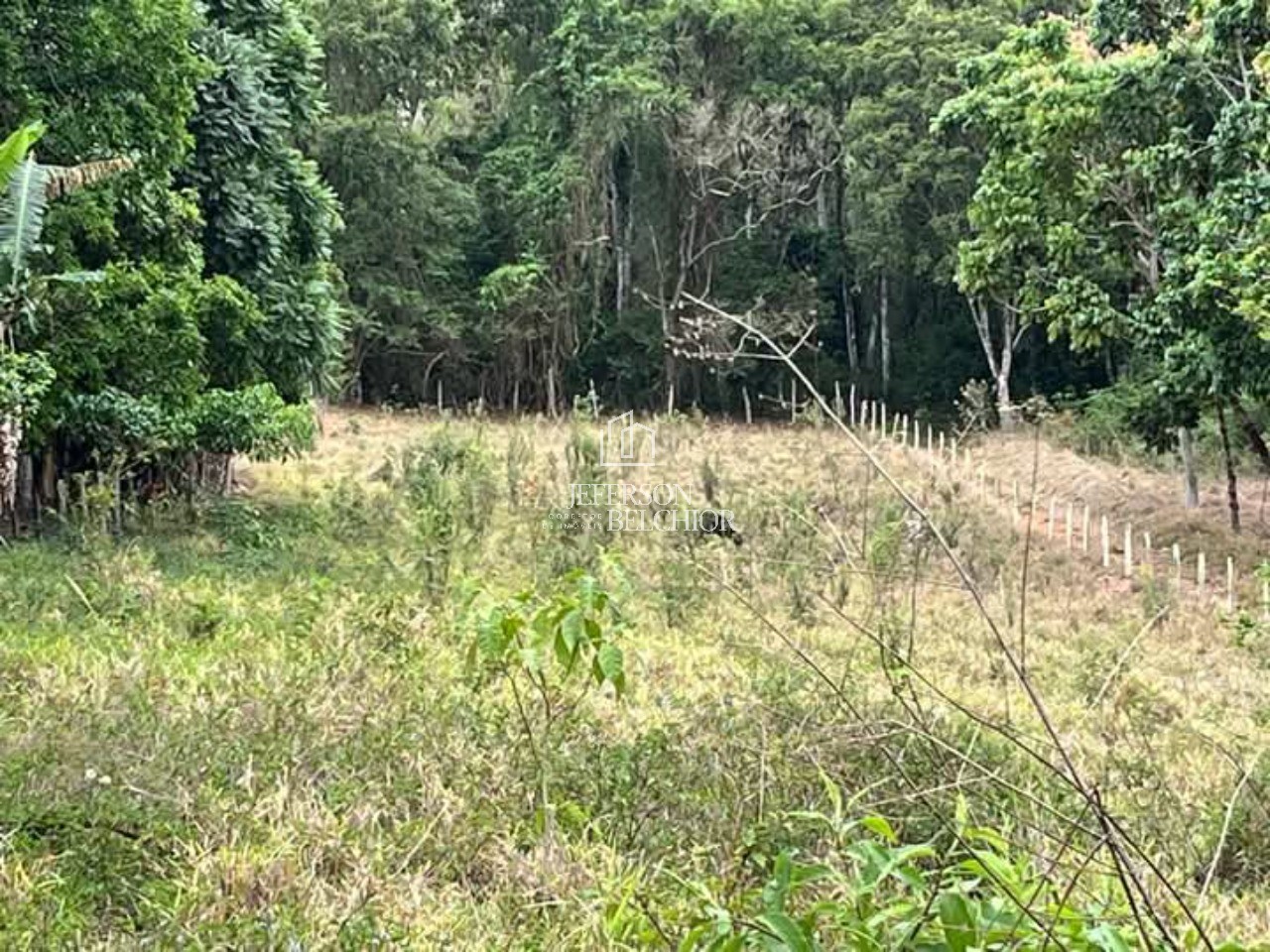 Terreno rural em ouro fino - mg, funil