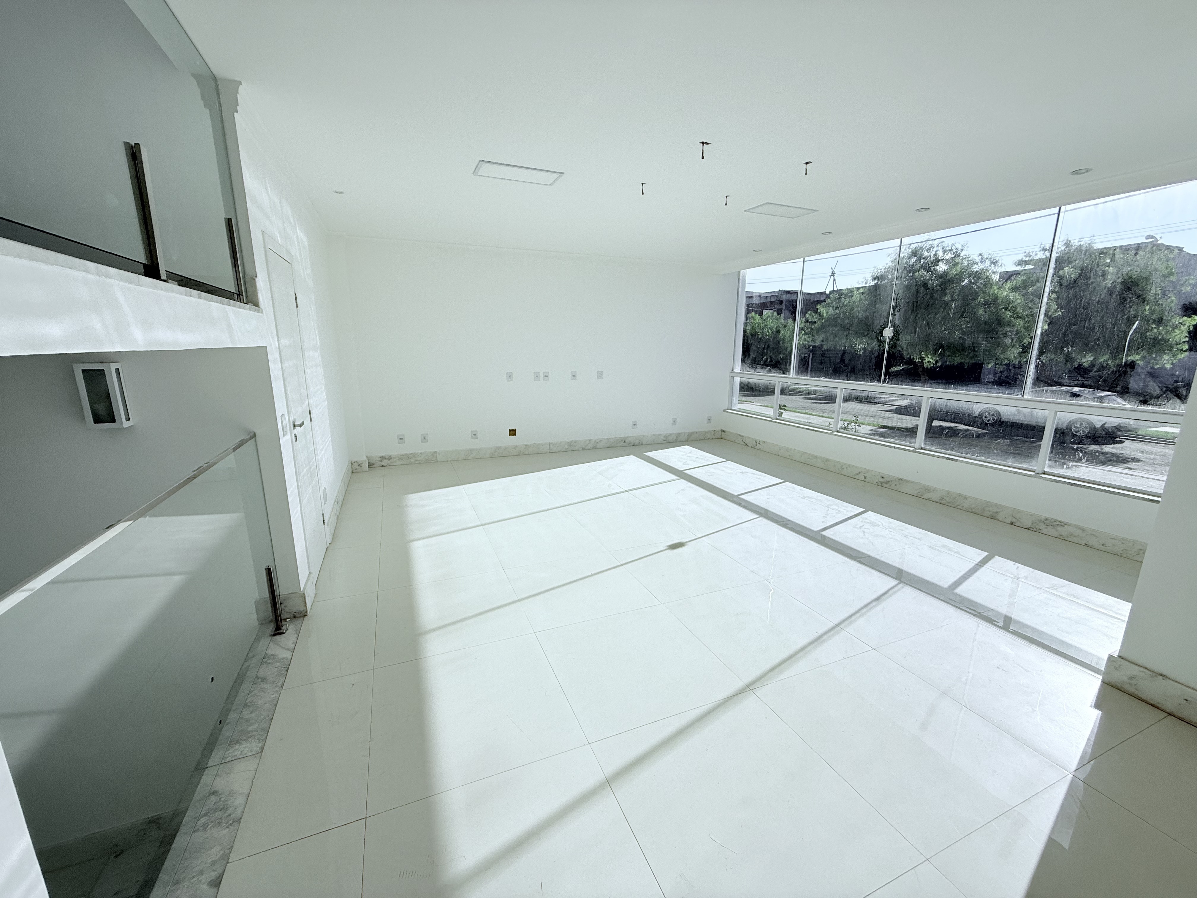 Casa, 4 quartos, 459 m² - Foto 3