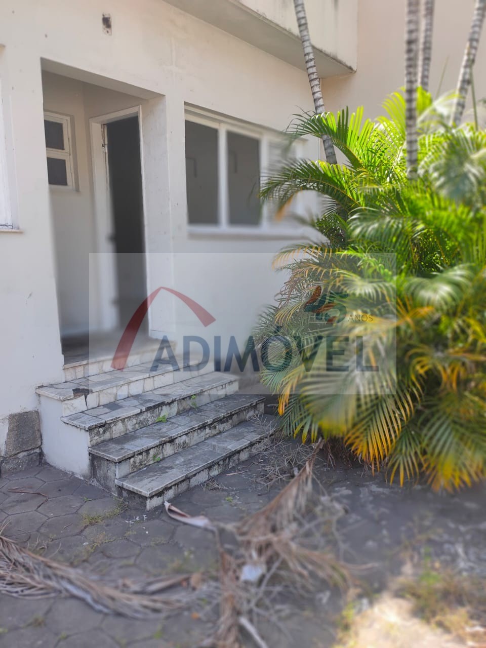 Casa, 3 quartos, 500 m² - Foto 4