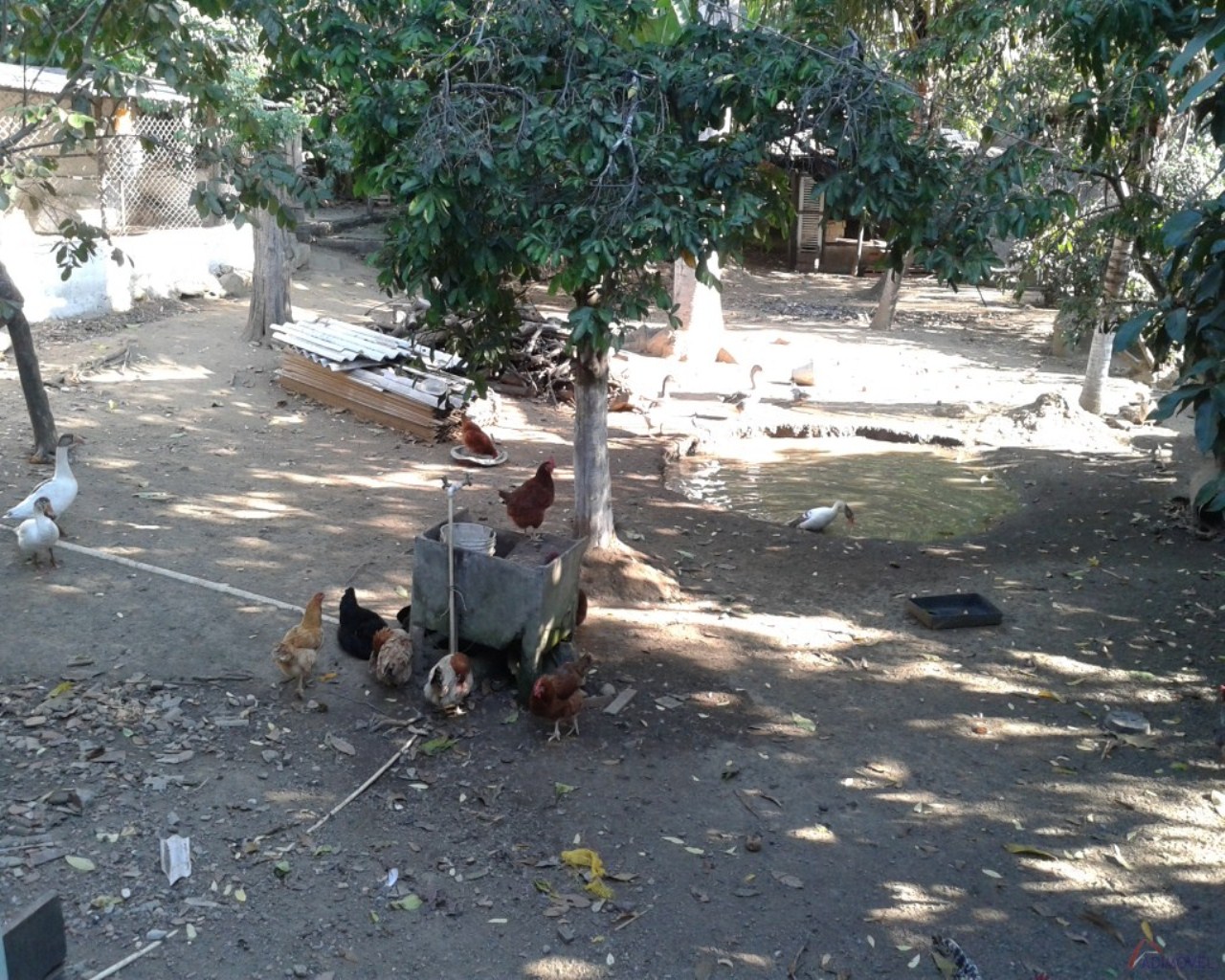 Terreno, 3 hectares - Foto 15