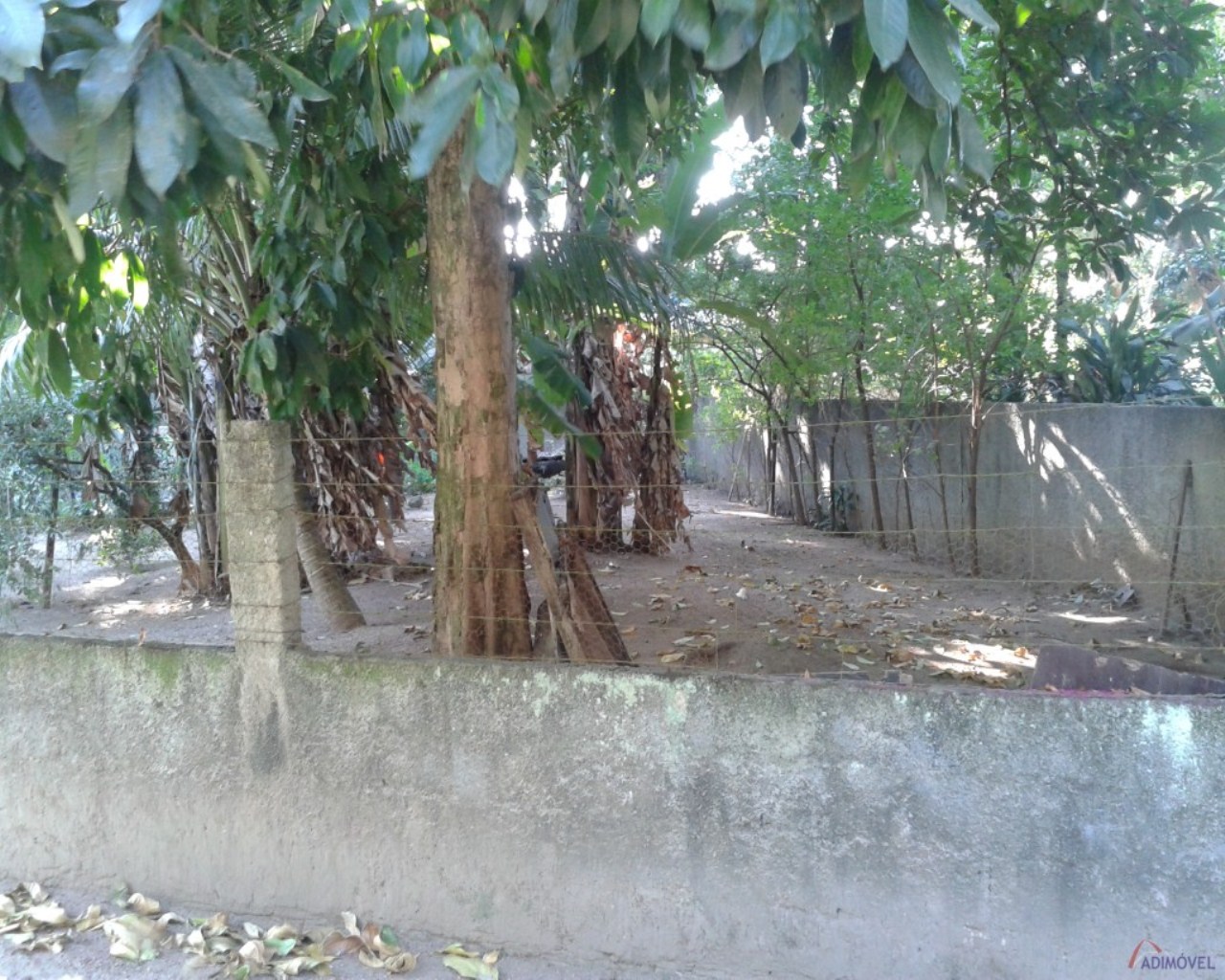 Terreno, 3 hectares - Foto 16