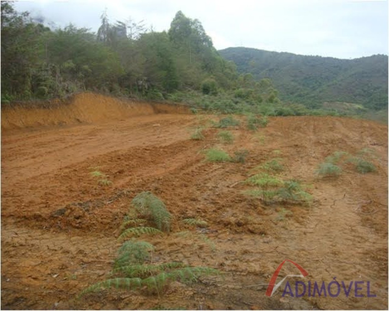 Terreno, 1210 m² - Foto 2