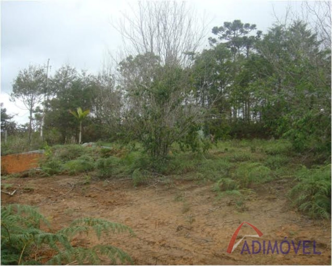 Terreno, 1210 m² - Foto 5