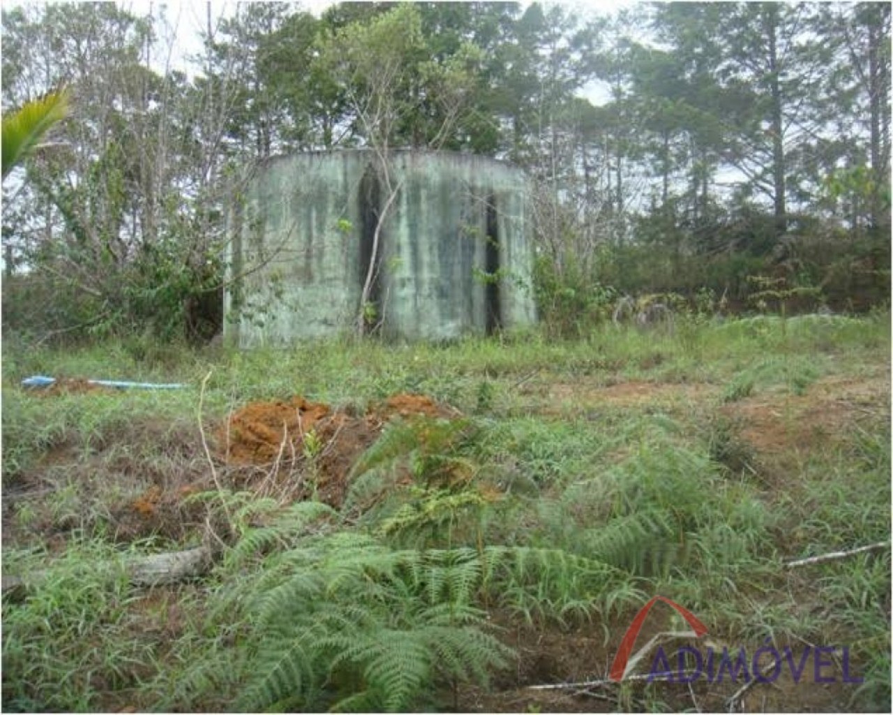 Terreno, 1210 m² - Foto 6