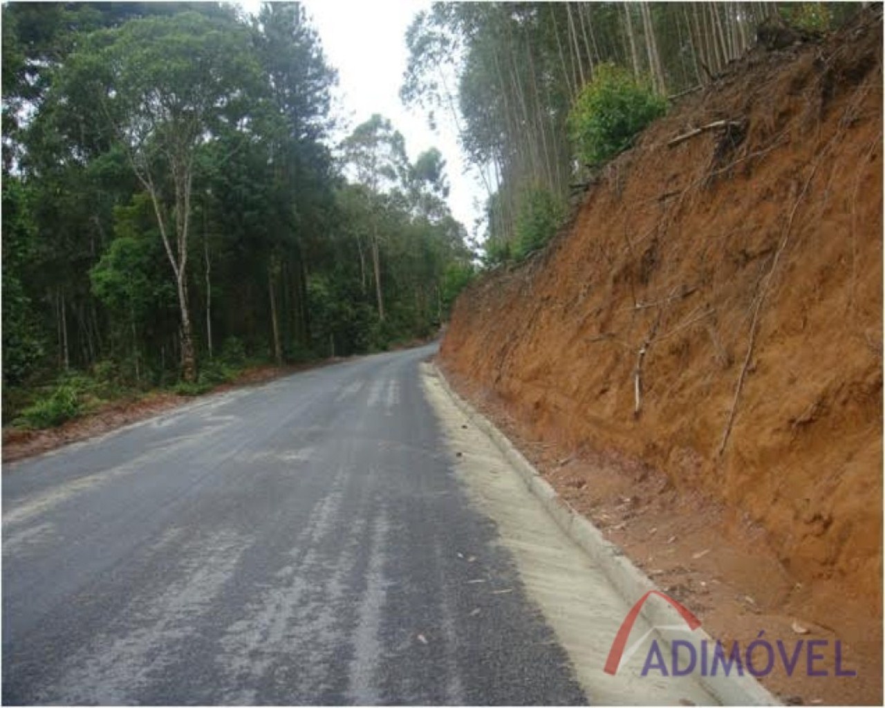 Terreno, 1210 m² - Foto 9