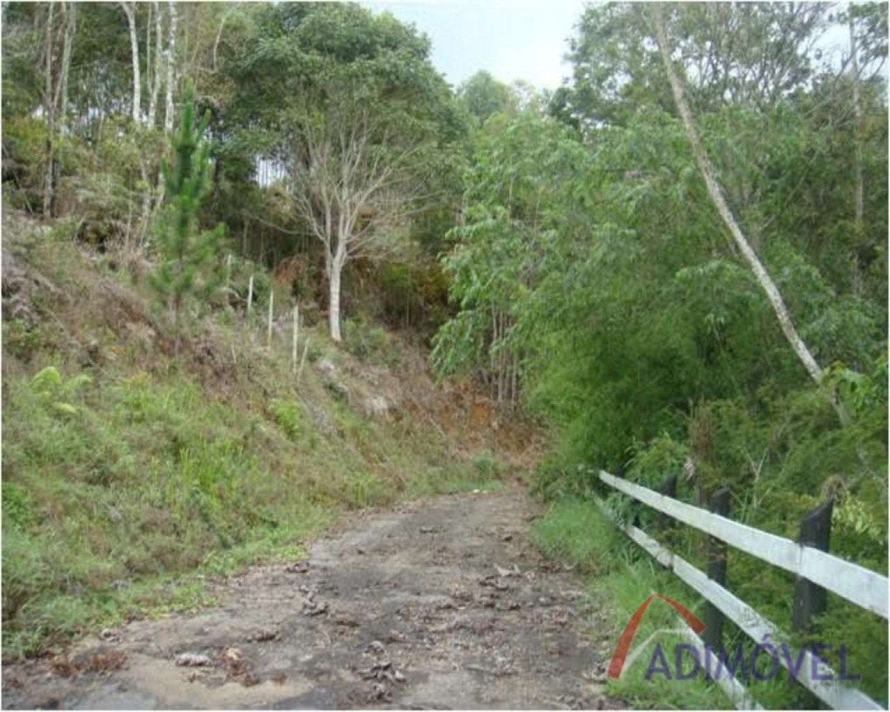 Terreno, 1210 m² - Foto 13