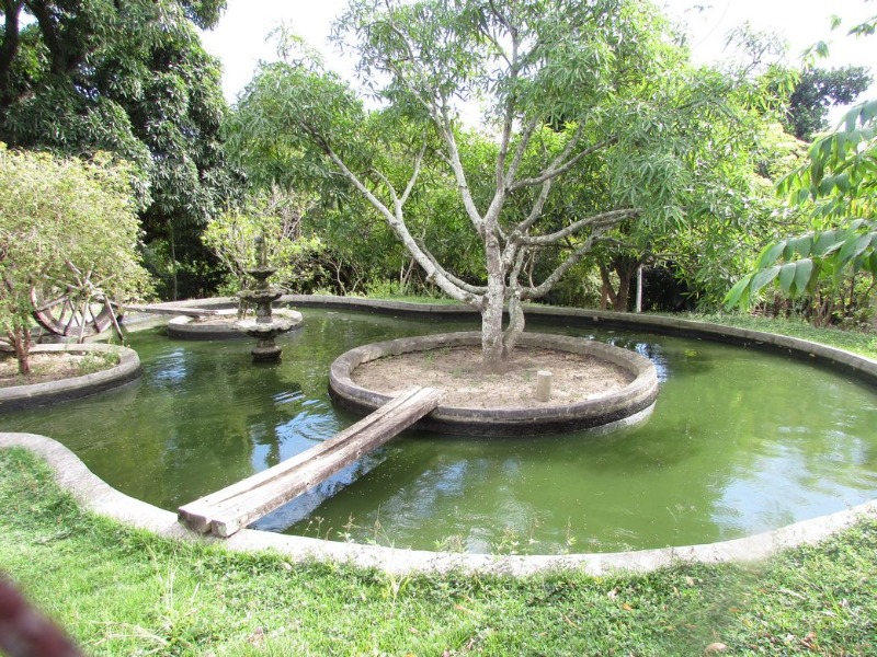 Chácara, 6 quartos - Foto 1