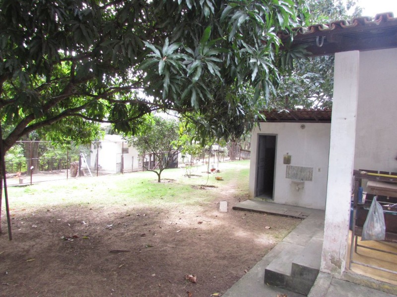 Chácara, 6 quartos - Foto 14