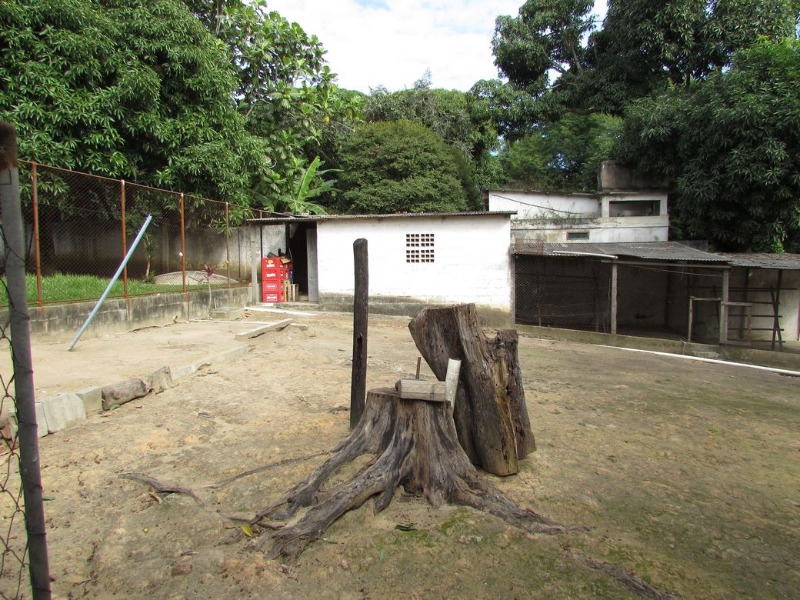 Chácara, 6 quartos - Foto 21
