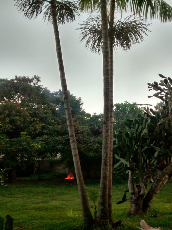 Chácara, 3 quartos, 1250 m² - Foto 2