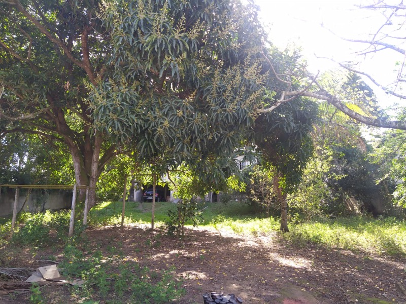 Chácara, 3 quartos, 1250 m² - Foto 8