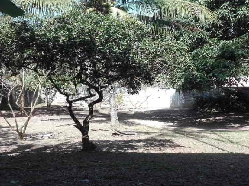 Chácara, 3 quartos, 1250 m² - Foto 9