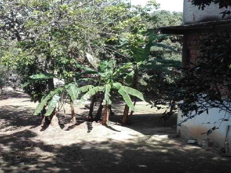 Chácara, 3 quartos, 1250 m² - Foto 10