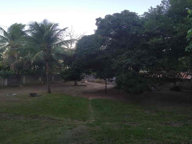 Chácara, 3 quartos, 1250 m² - Foto 12