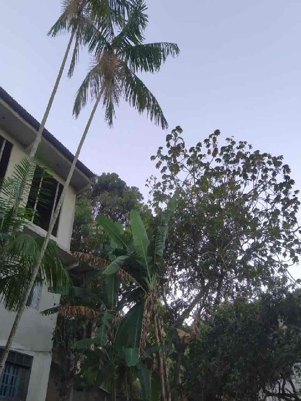 Chácara, 3 quartos, 1250 m² - Foto 13