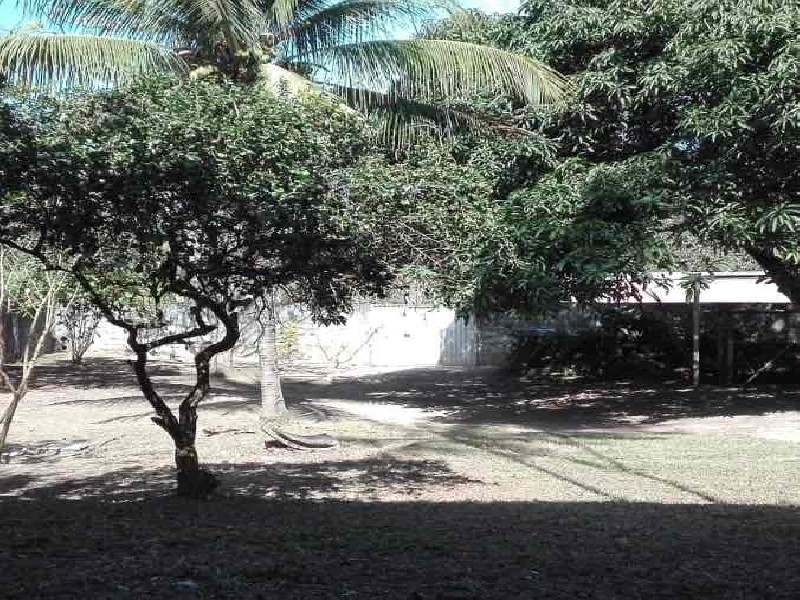 Chácara, 3 quartos, 1250 m² - Foto 14
