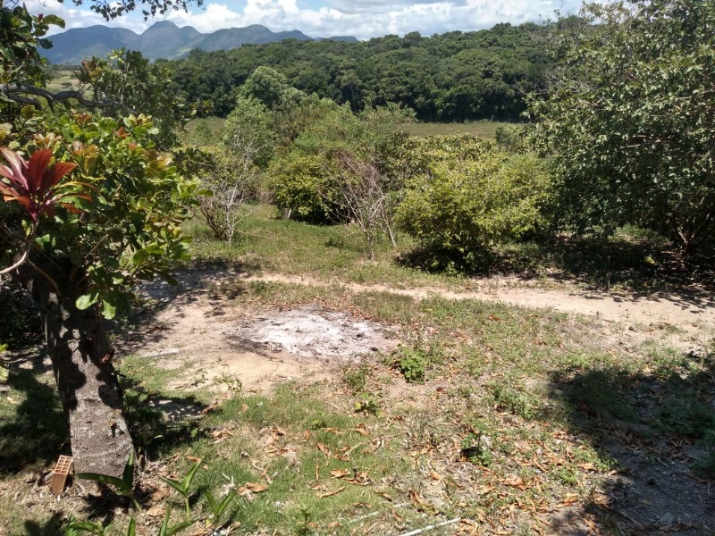 Terreno, 7 hectares - Foto 1