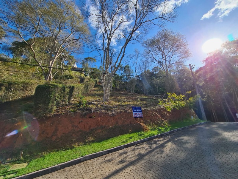 Terreno, 2315 m² - Foto 7