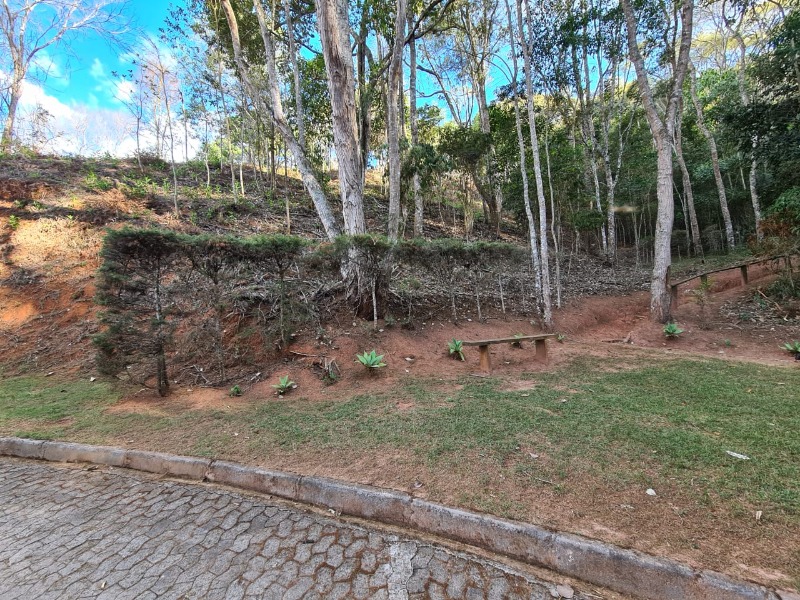 Terreno, 2315 m² - Foto 13
