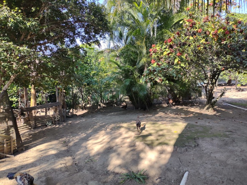 Terreno, 2316 m² - Foto 8