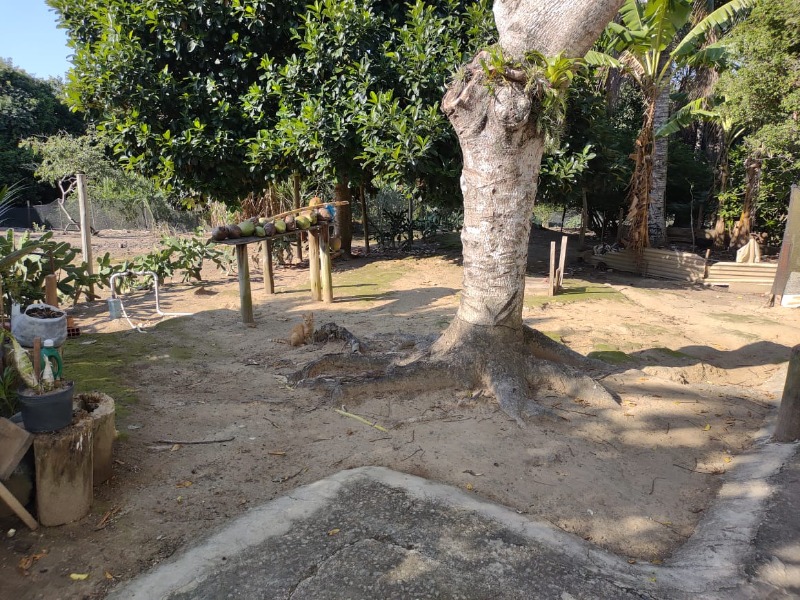Terreno, 2316 m² - Foto 13