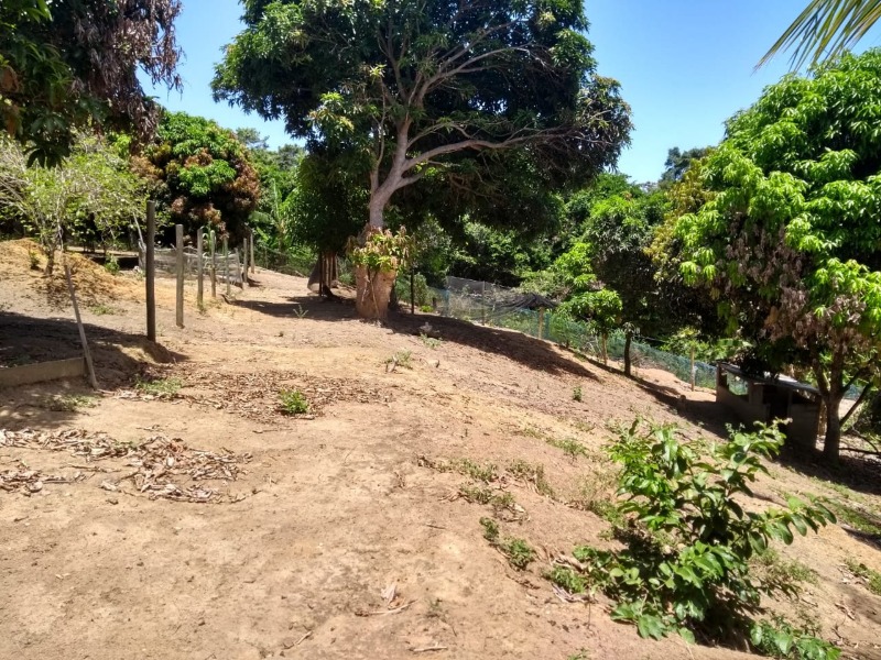 Terreno, 2316 m² - Foto 23