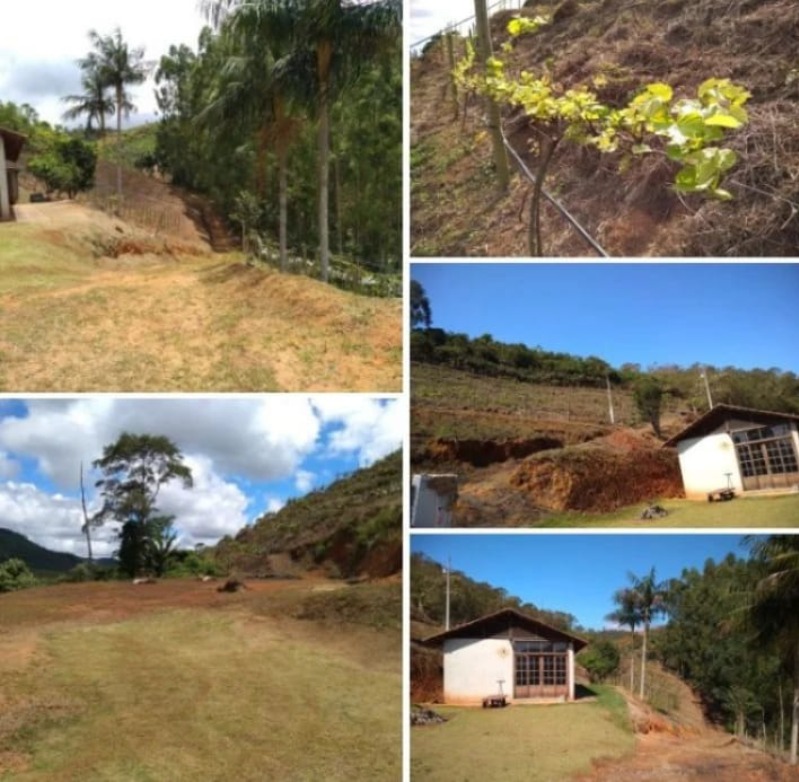 Terreno, 2 hectares - Foto 1