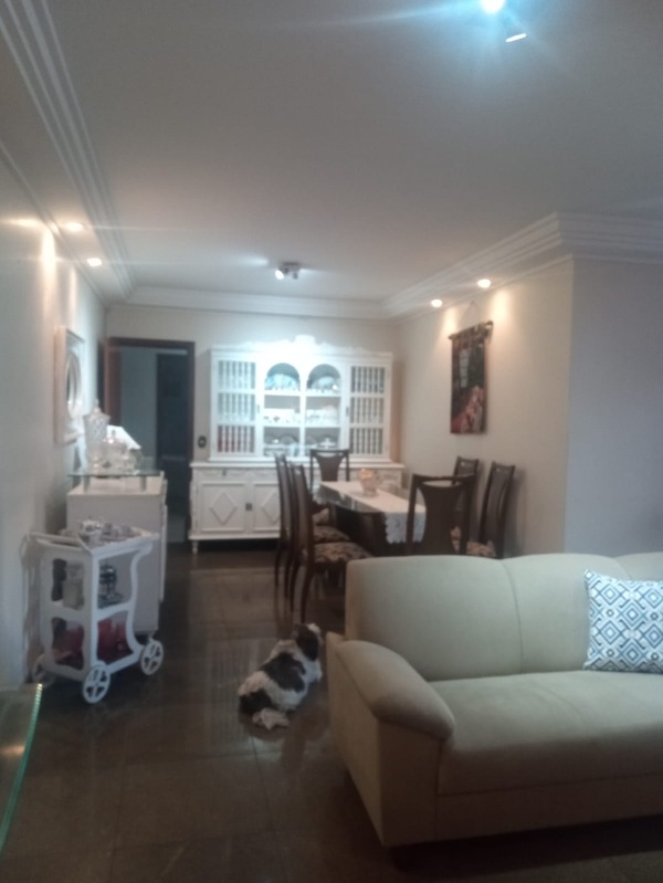 Apartamento, 4 quartos, 242 m² - Foto 19