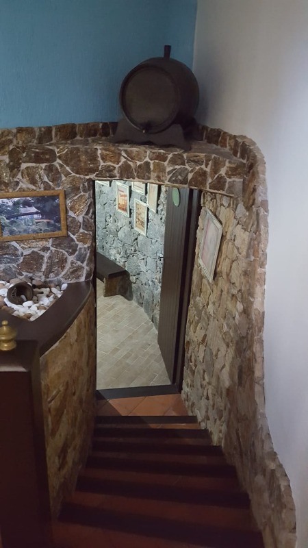 Casa, 5 quartos, 594 m² - Foto 4