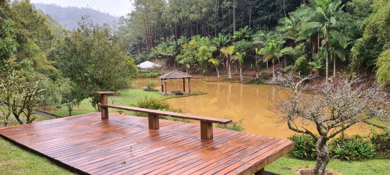Sítio, 6 hectares - Foto 15