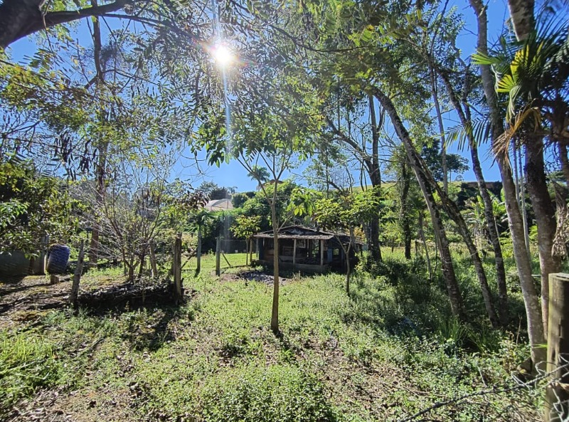 Sítio, 1 quarto, 4000 m² - Foto 12