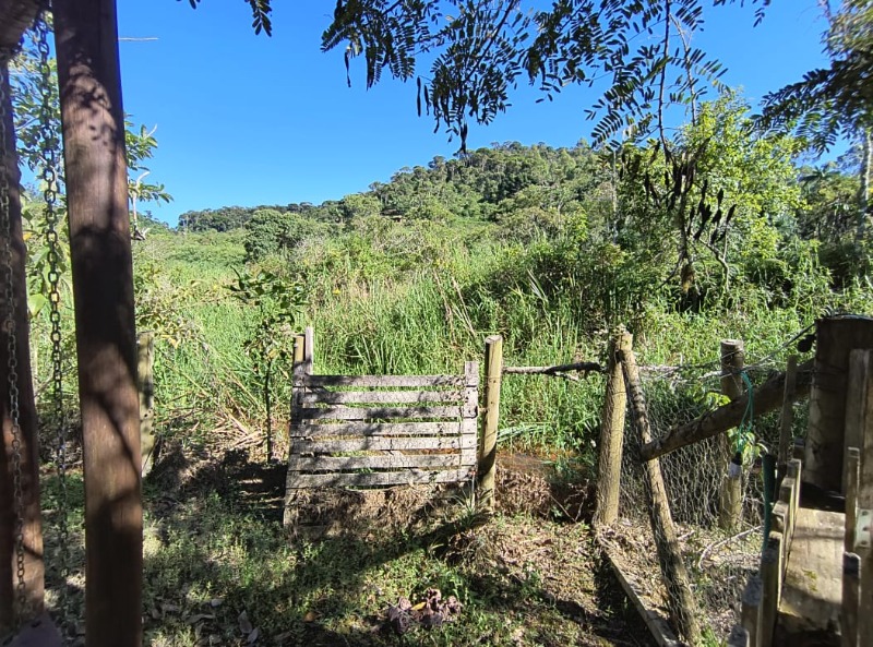 Sítio, 1 quarto, 4000 m² - Foto 15