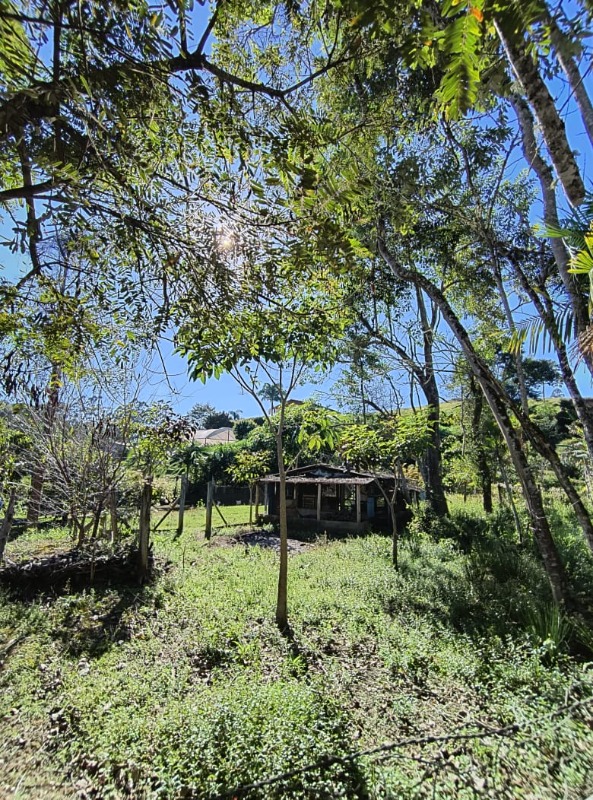 Sítio, 1 quarto, 4000 m² - Foto 18