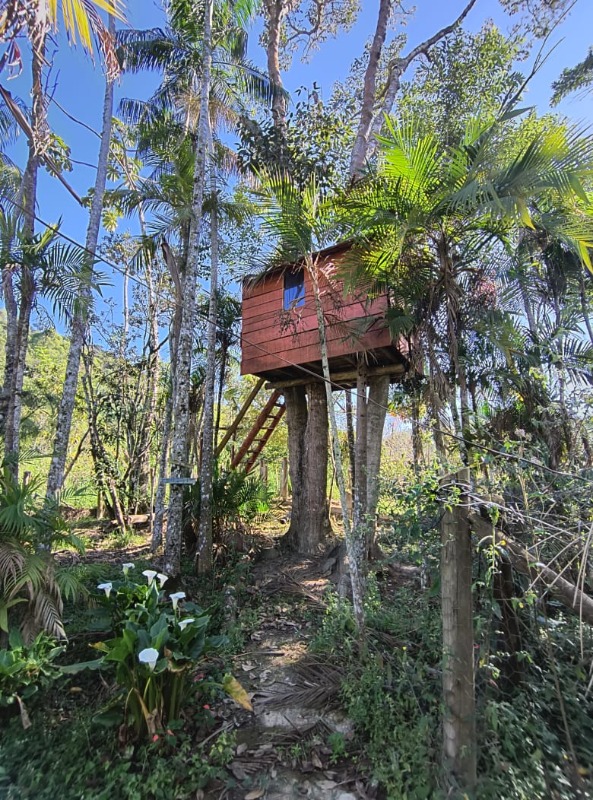 Sítio, 1 quarto, 4000 m² - Foto 24