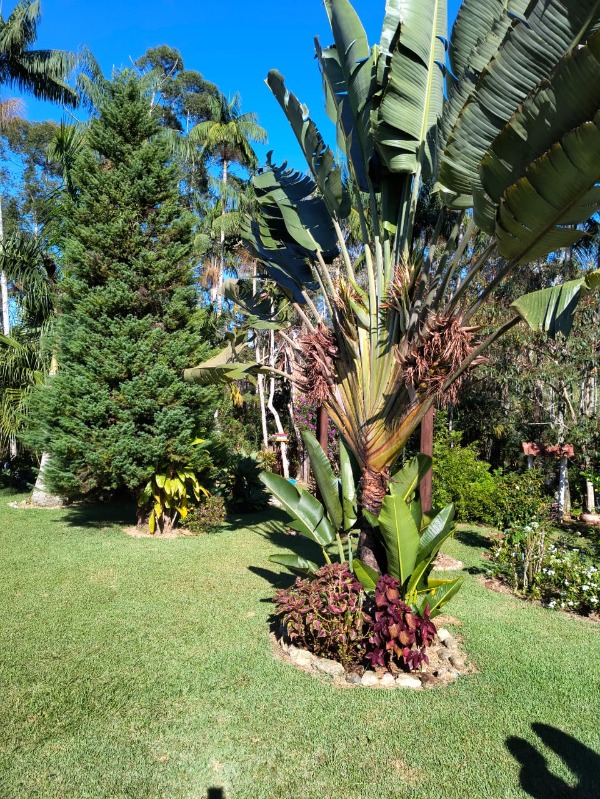 Sítio, 1 quarto, 4000 m² - Foto 25