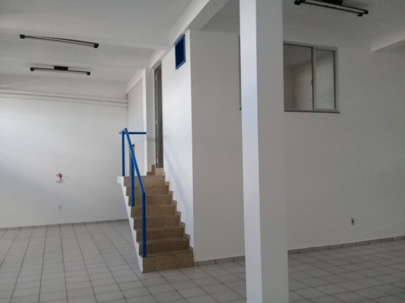 Casa, 4 quartos, 560 m² - Foto 3