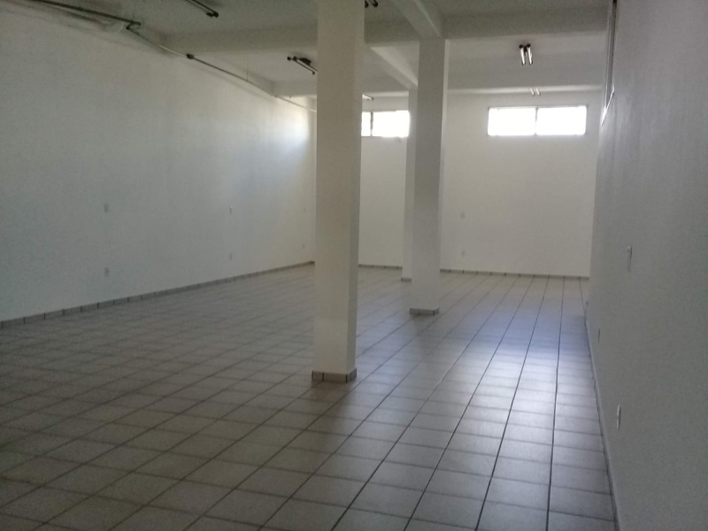Casa, 4 quartos, 560 m² - Foto 6
