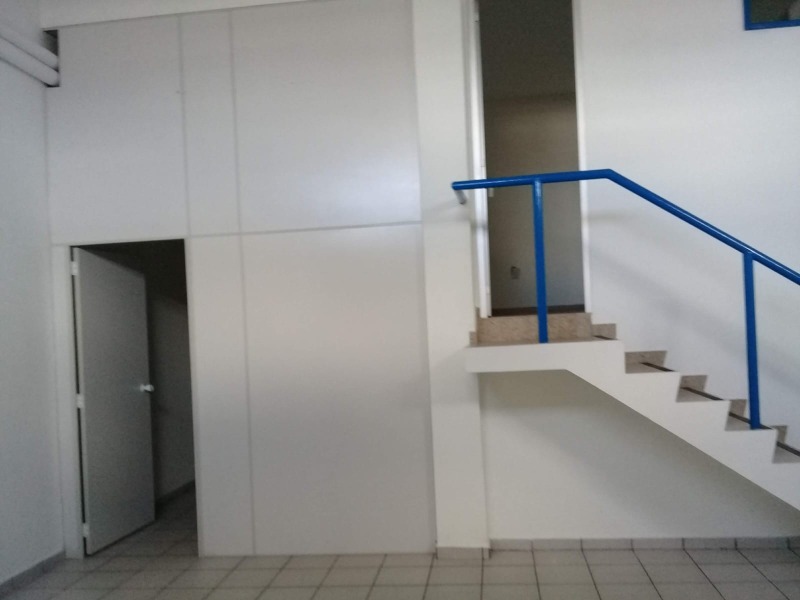 Casa, 4 quartos, 560 m² - Foto 8