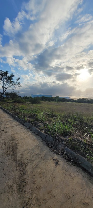 Terreno, 2 hectares - Foto 4