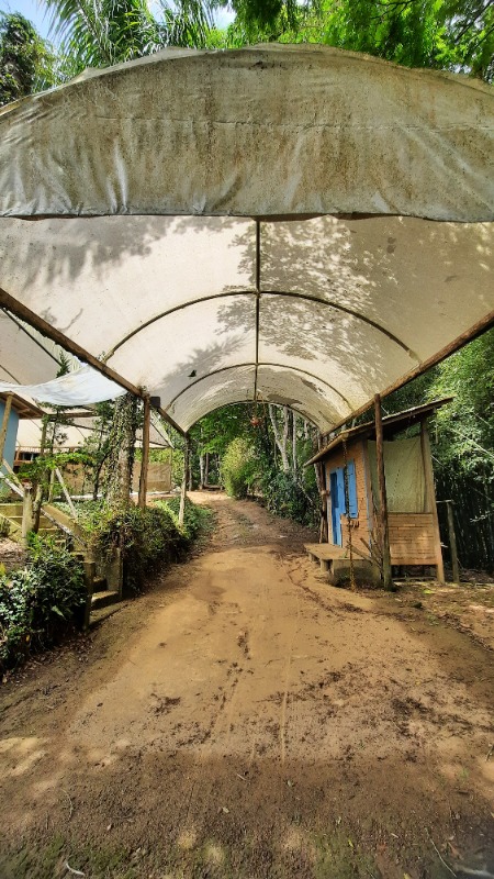 Casa, 3 quartos, 30000 m² - Foto 6