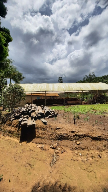 Casa, 3 quartos, 30000 m² - Foto 10