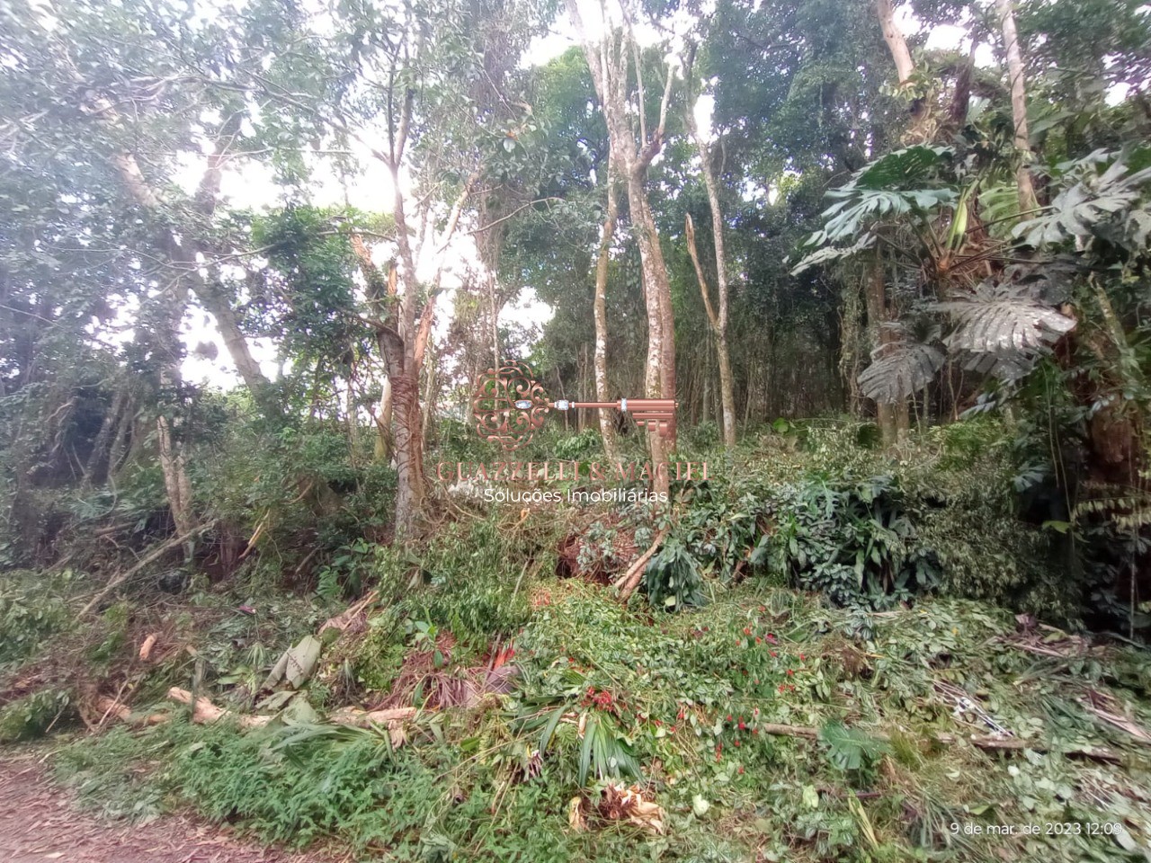 Foto Destaque