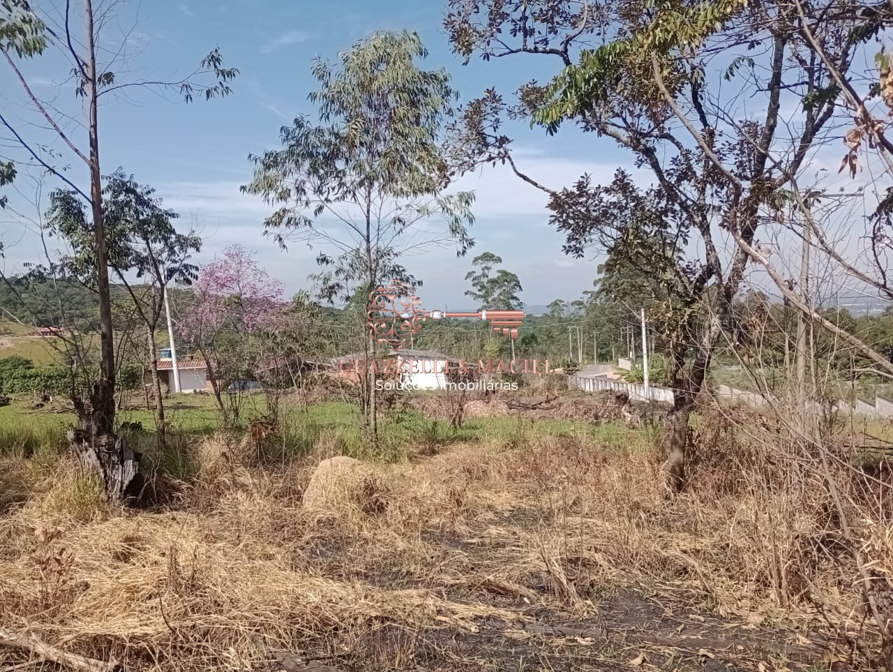 Foto Destaque