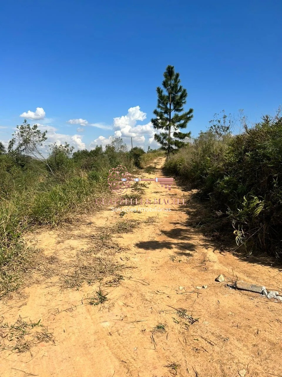Terreno em SABOÓ, SÃO ROQUE - Foto 6
